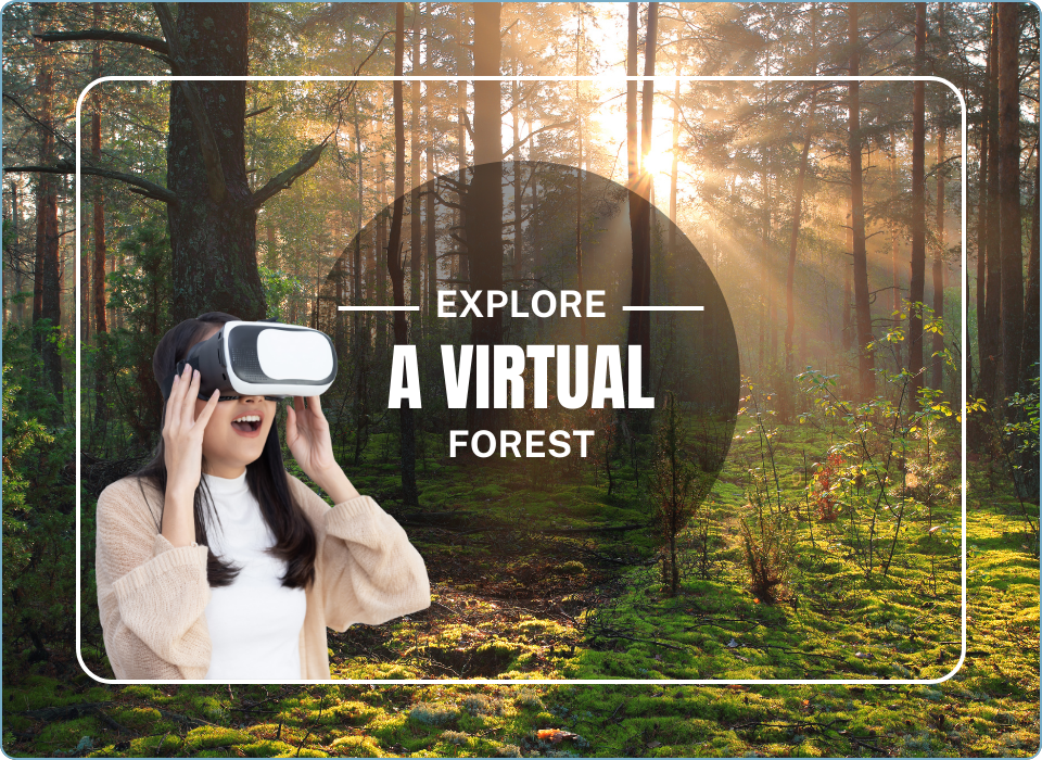 Explore a virtual forest